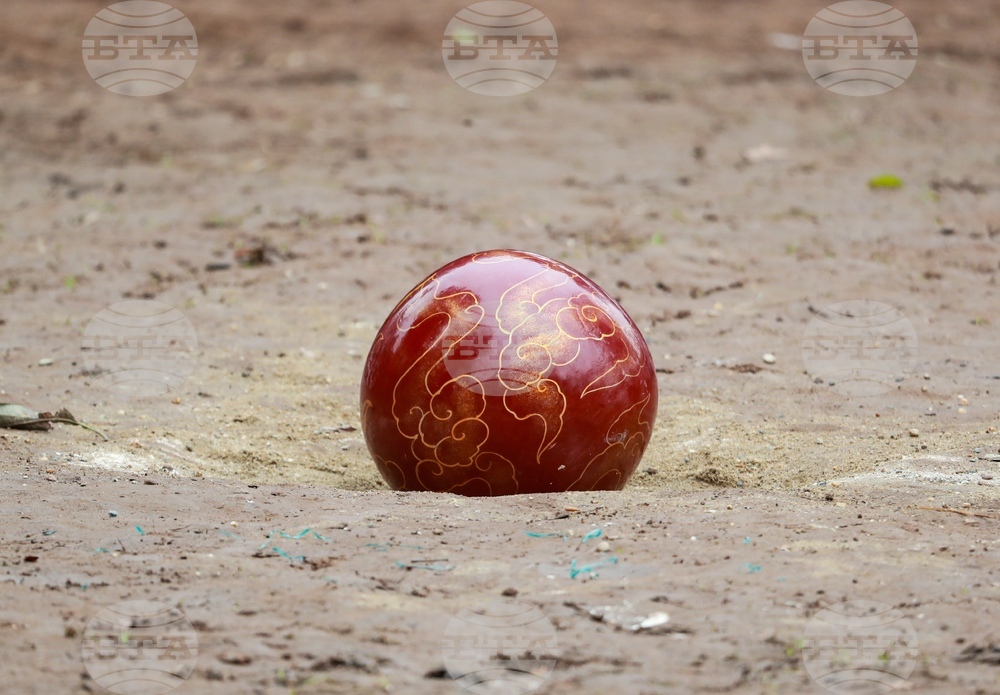 Vietnam Festival Game