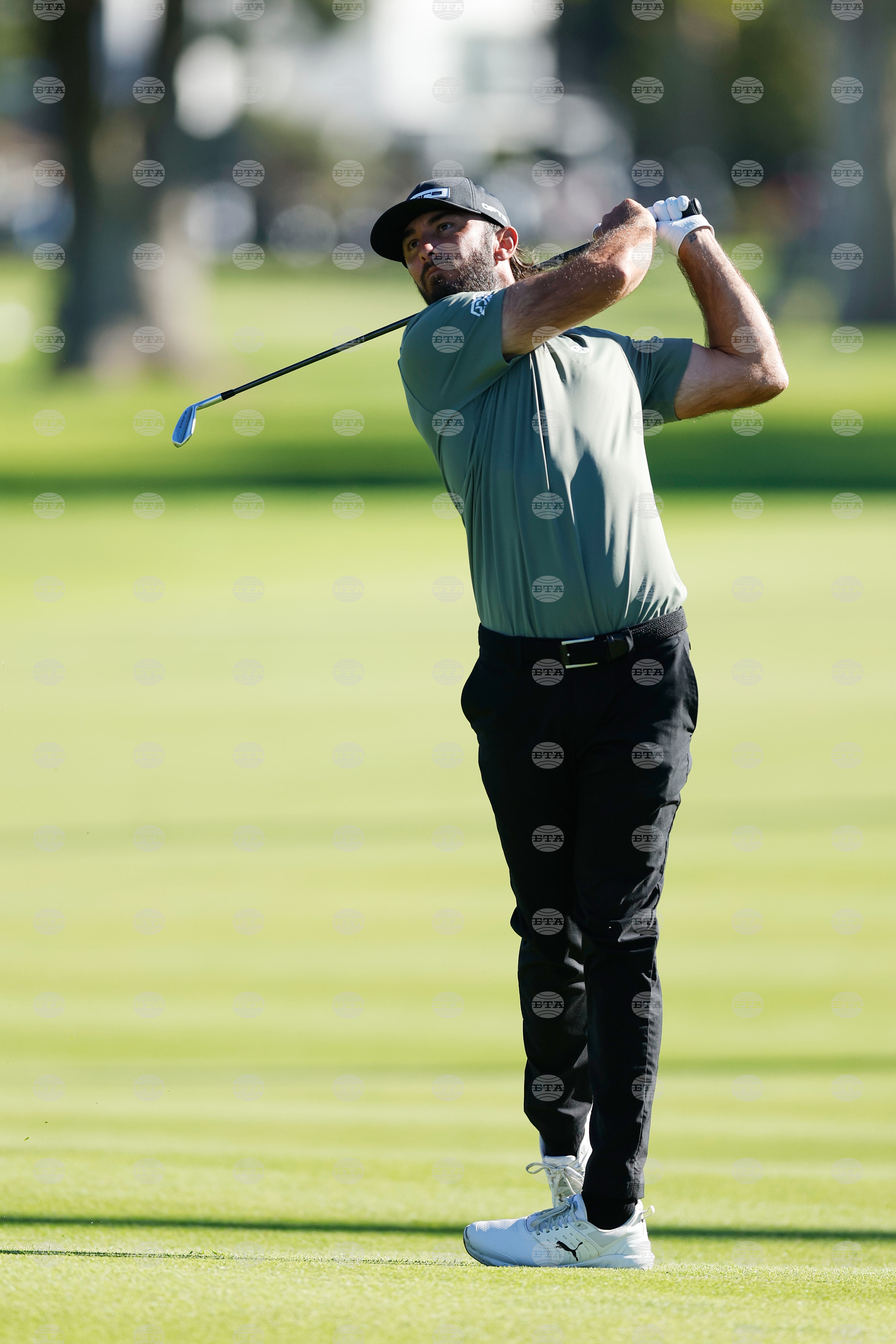 Genesis Invitational Golf