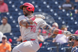 Cardinals Astros Spring Baseball