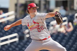 Cardinals Astros Spring Baseball