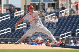 Cardinals Astros Spring Baseball