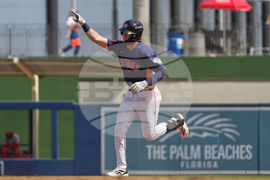 Cardinals Astros Spring Baseball