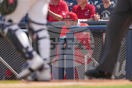 Cardinals Astros Spring Baseball
