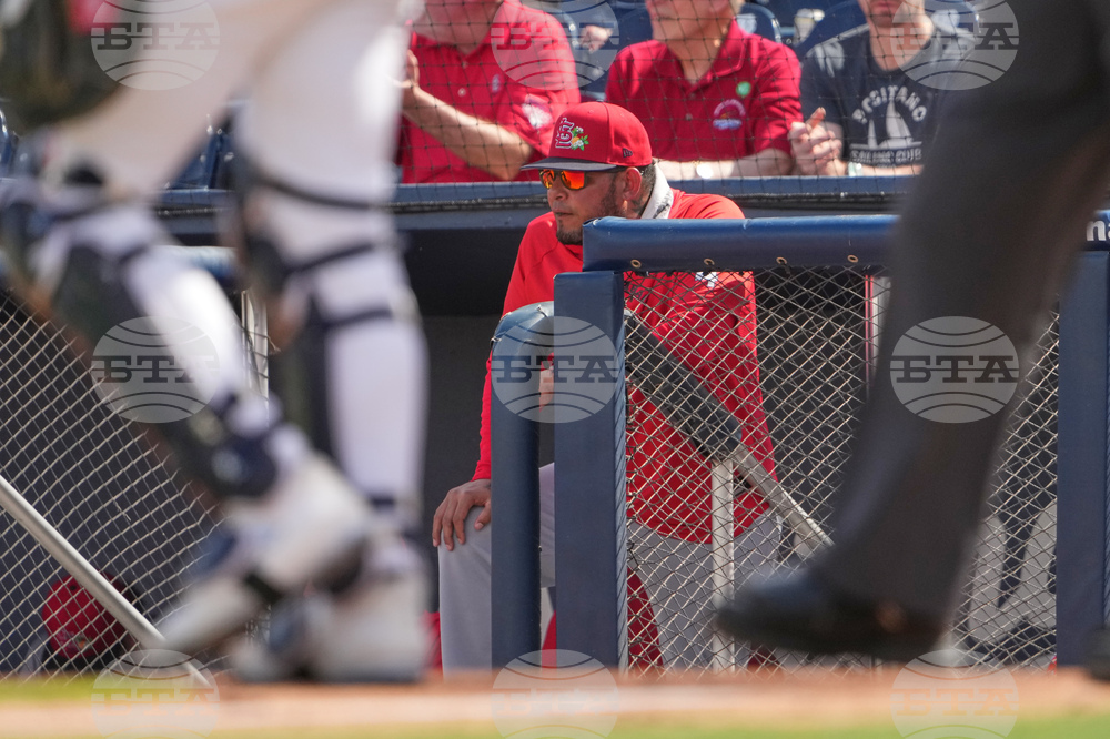 Cardinals Astros Spring Baseball