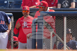 Cardinals Astros Spring Baseball