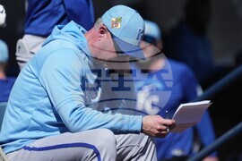 Royals Brewers Spring Baseball