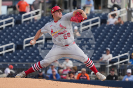 Cardinals Astros Spring Baseball