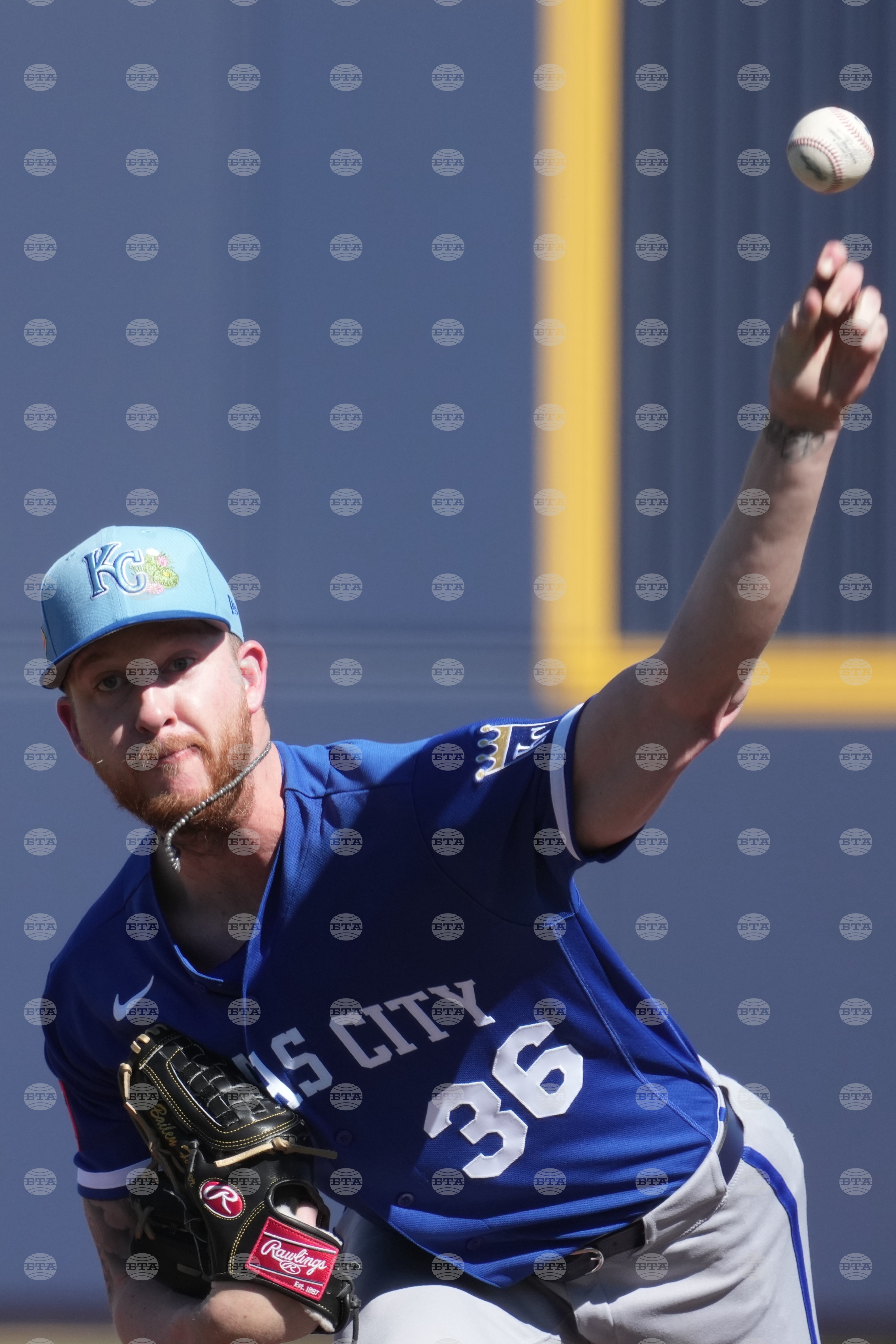 Royals Brewers Spring Baseball