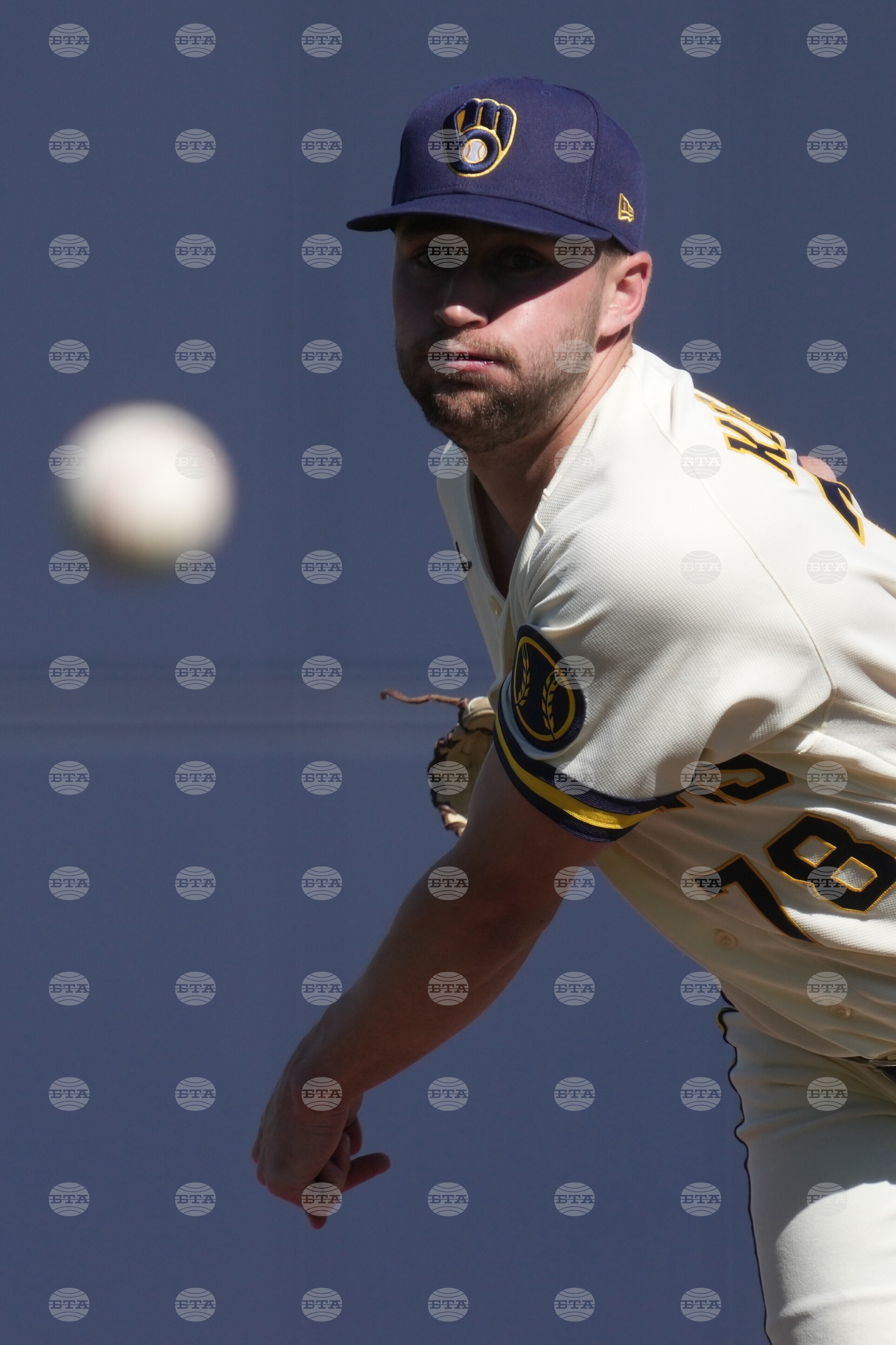 Royals Brewers Spring Baseball