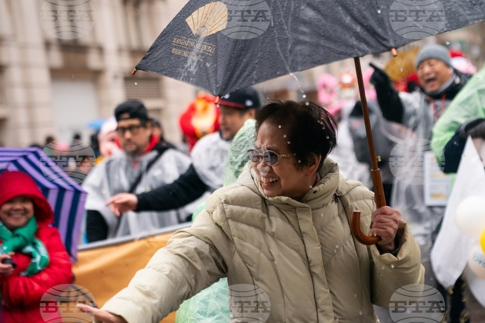 Chinese Lunar New Year Parade
