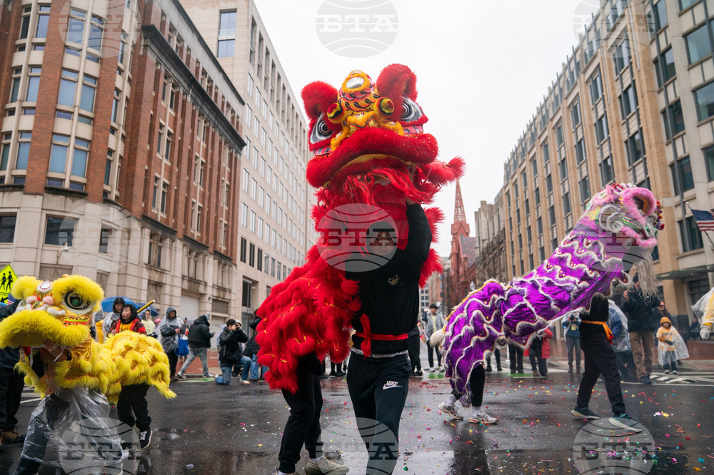 Chinese Lunar New Year Parade