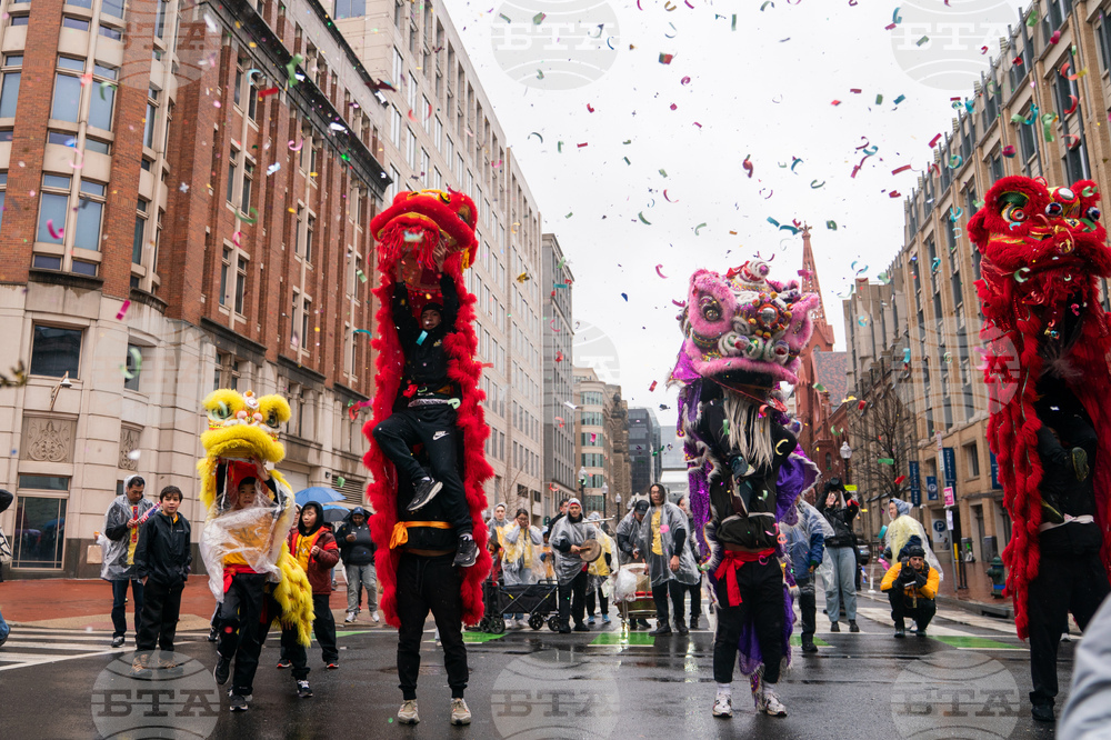 Chinese Lunar New Year Parade