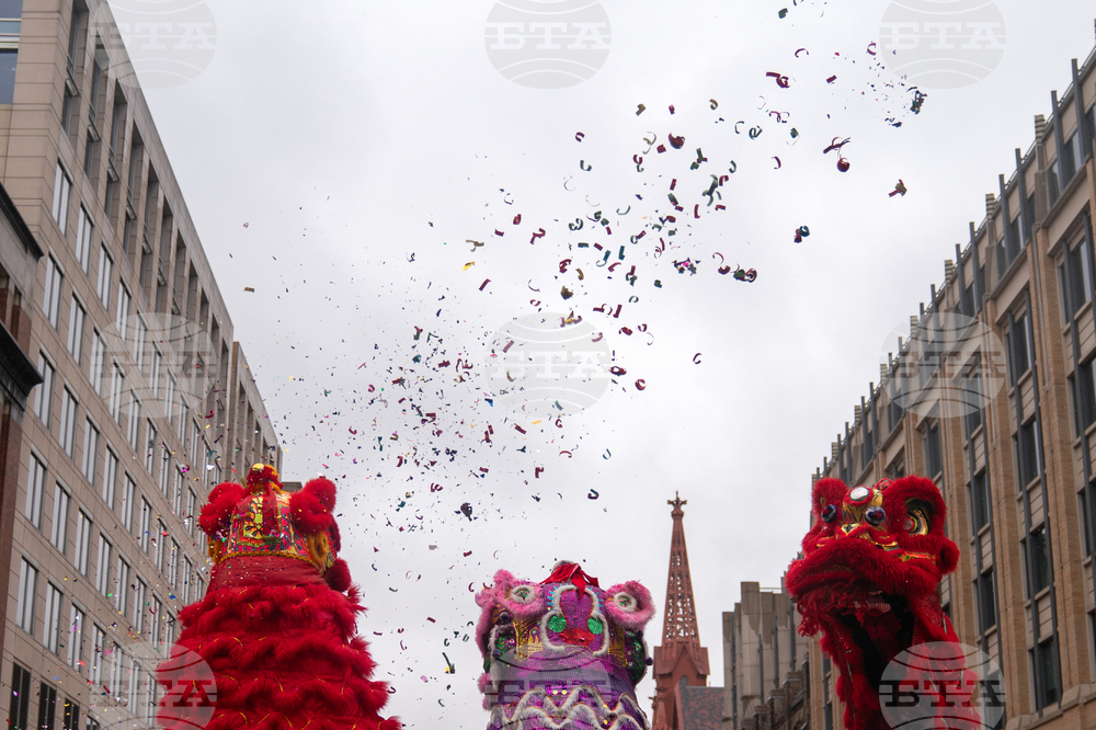 Chinese Lunar New Year Parade