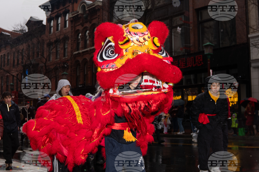 Chinese Lunar New Year Parade