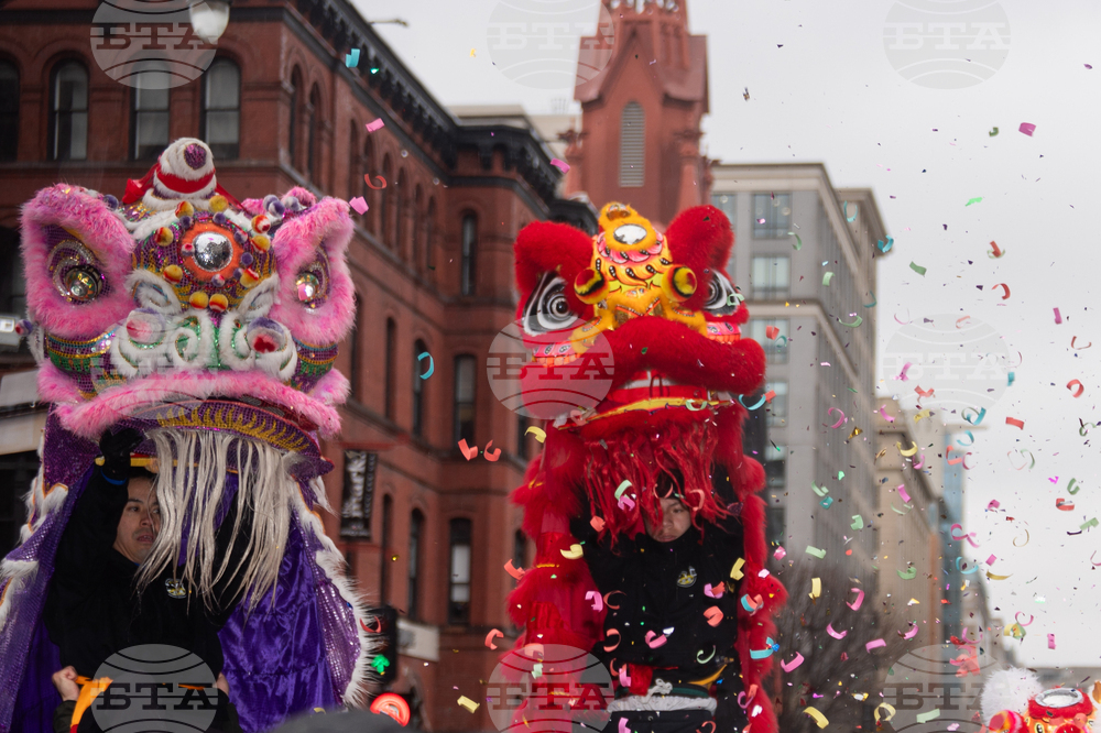 Chinese Lunar New Year Parade