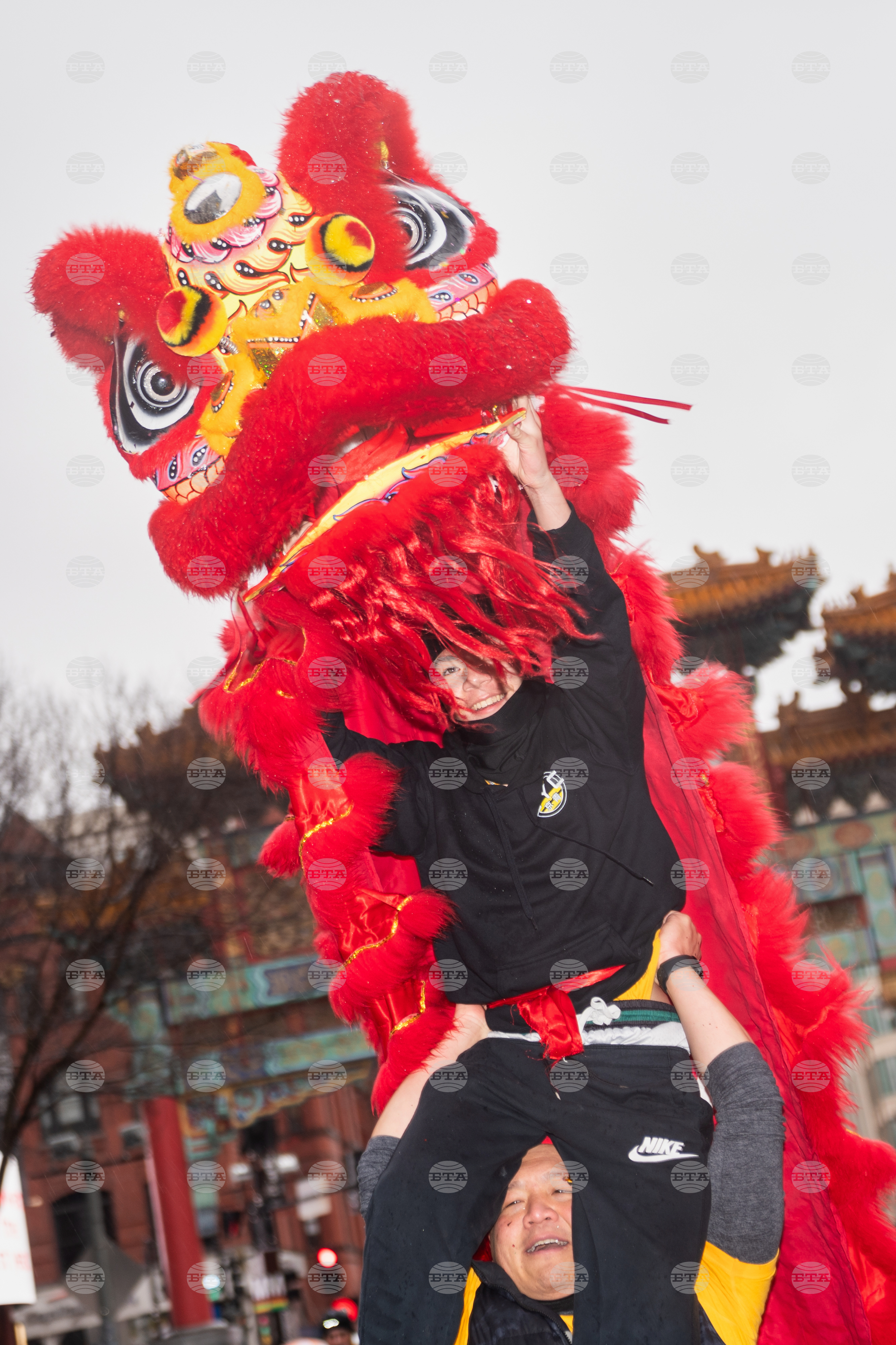 Chinese Lunar New Year Parade