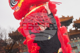 Chinese Lunar New Year Parade