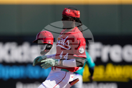 Mariners Reds Spring Baseball