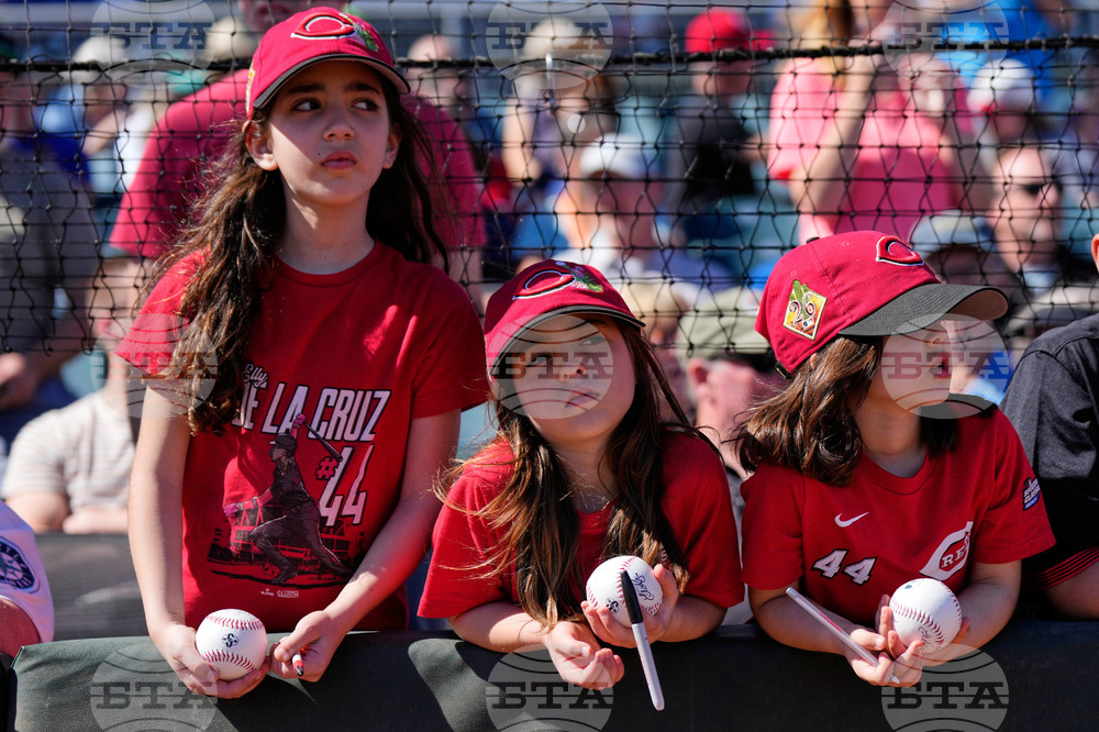 Mariners Reds Spring Baseball