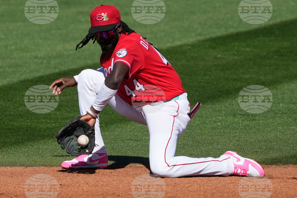 Mariners Reds Spring Baseball