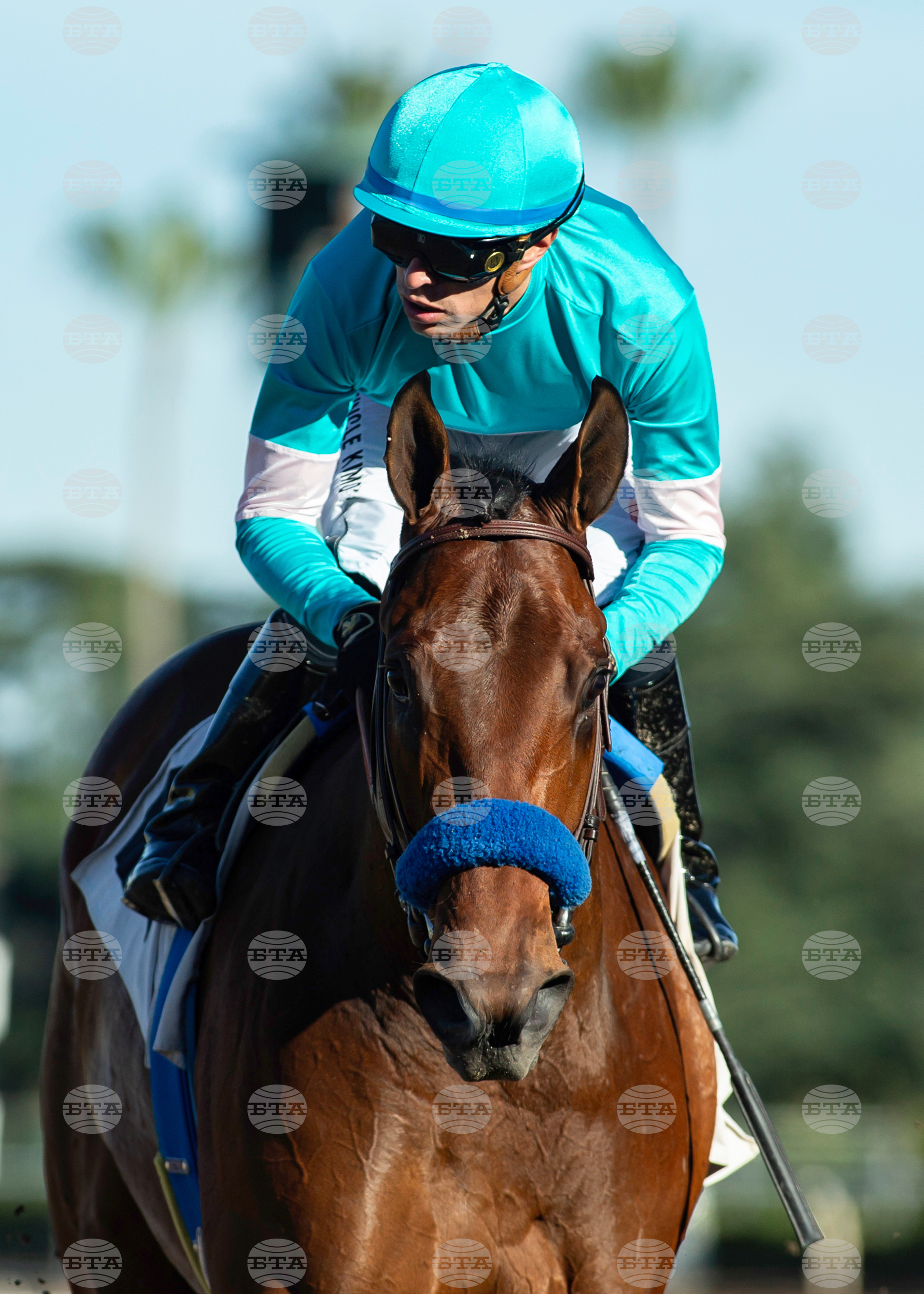 Santa Anita Horse Racing