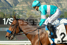 Santa Anita Horse Racing