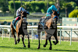 Santa Anita Horse Racing