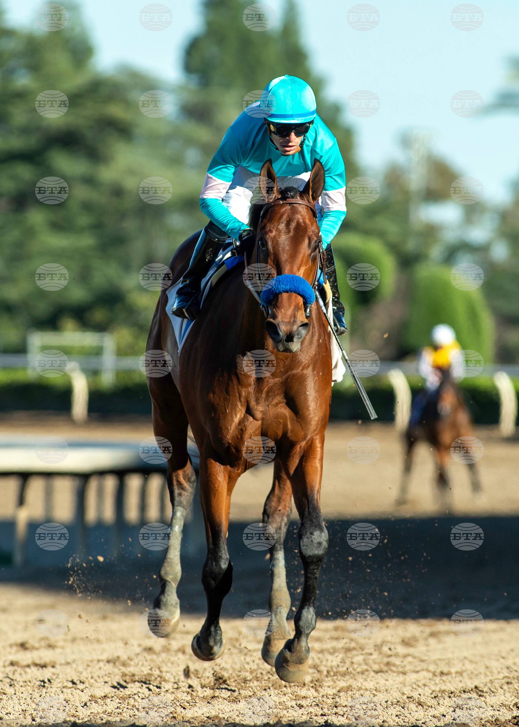 Santa Anita Horse Racing