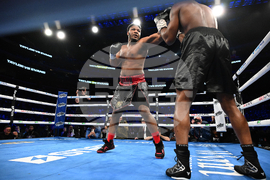 Shields Crews-Dezurn Boxing