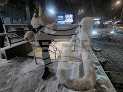 Winter Weather New York