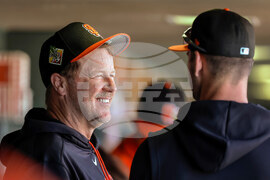 Cubs Giants Spring Baseball