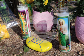 Savannah Guthrie Mom Missing