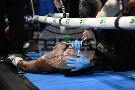 Shields Crews-Dezurn Boxing