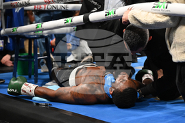 Shields Crews-Dezurn Boxing