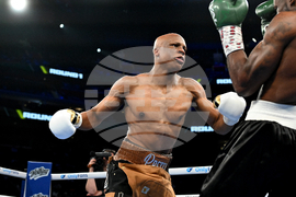 Shields Crews-Dezurn Boxing