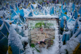 Russia Ukraine War Anniversary