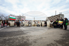 Средец - кукерски игри