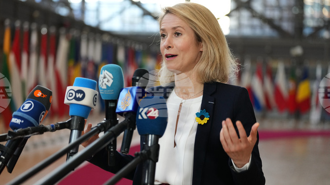 Кая Калас призова Афганистан и Пакистан за деескалация и диалог