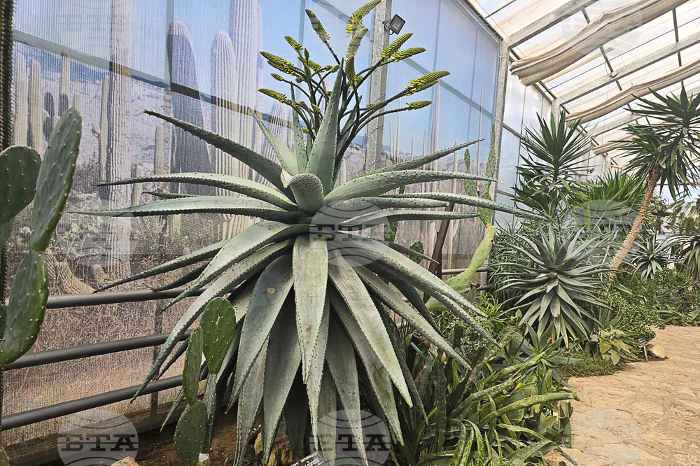 Балчик - Университетска ботаническа градина