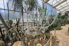 Балчик - Университетска ботаническа градина