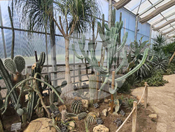 Балчик - Университетска ботаническа градина