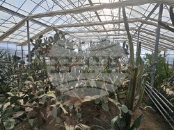 Балчик - Университетска ботаническа градина