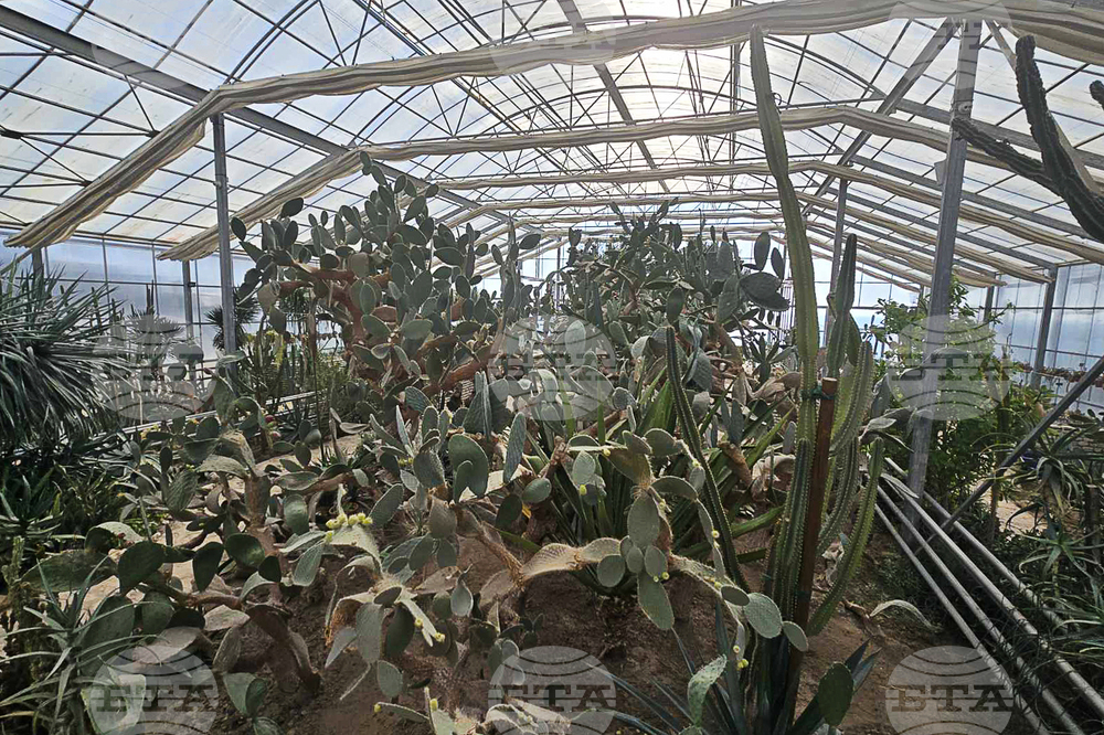 Балчик - Университетска ботаническа градина