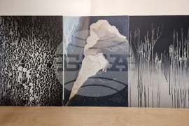 Варна - „Огнена“ - благотворителна изложба