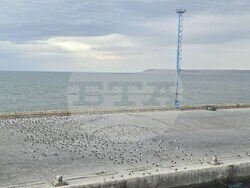 Аржентина - Антарктида - 34-та българска антарктическа експедиция - научноизследователски кораб "Св. св. Кирил и Методий"