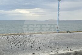 Argentina - Antarctica - 34th Bulgarian Antarctic Expedition - RSV 421