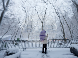 Winter Weather New York