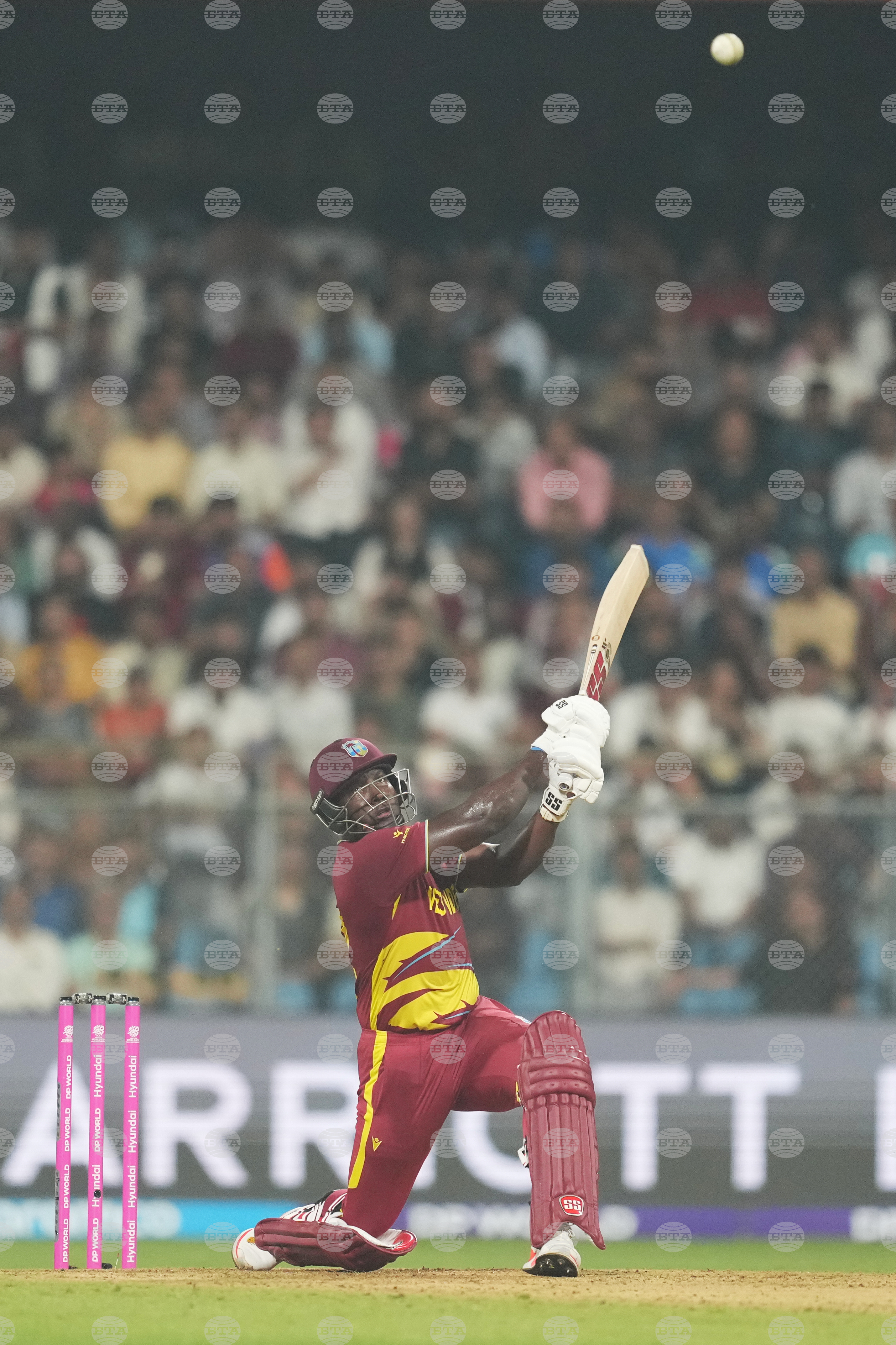 Zimbabwe West Indies T20 WCup Cricket