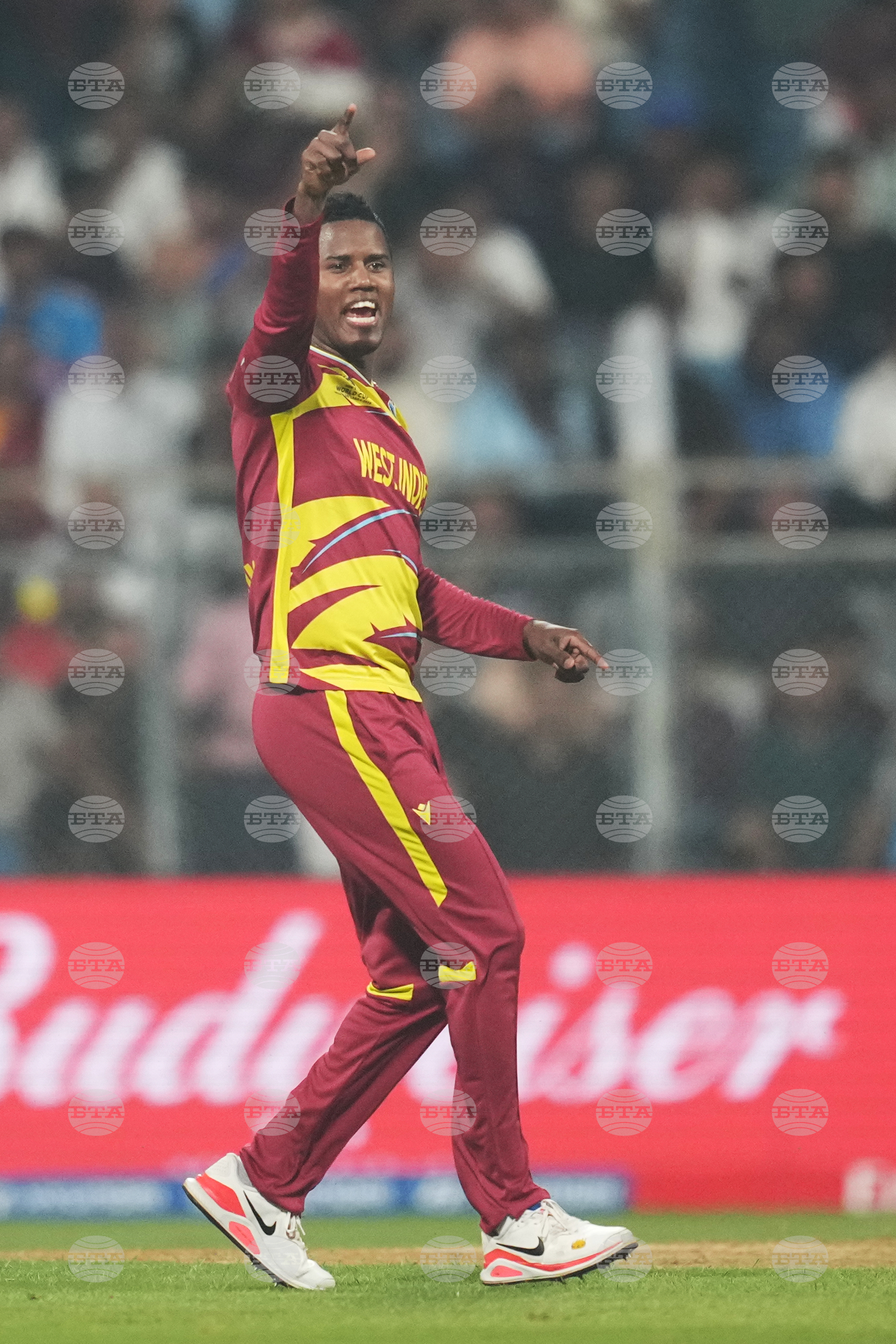 Zimbabwe West Indies T20 WCup Cricket