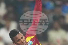 Zimbabwe West Indies T20 WCup Cricket